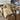 Amazon Processed LPN Loads